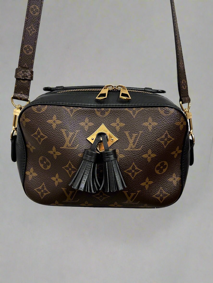 Louis Vuitton Pre owned 2019 Saintonge Shoulder Bag Brown