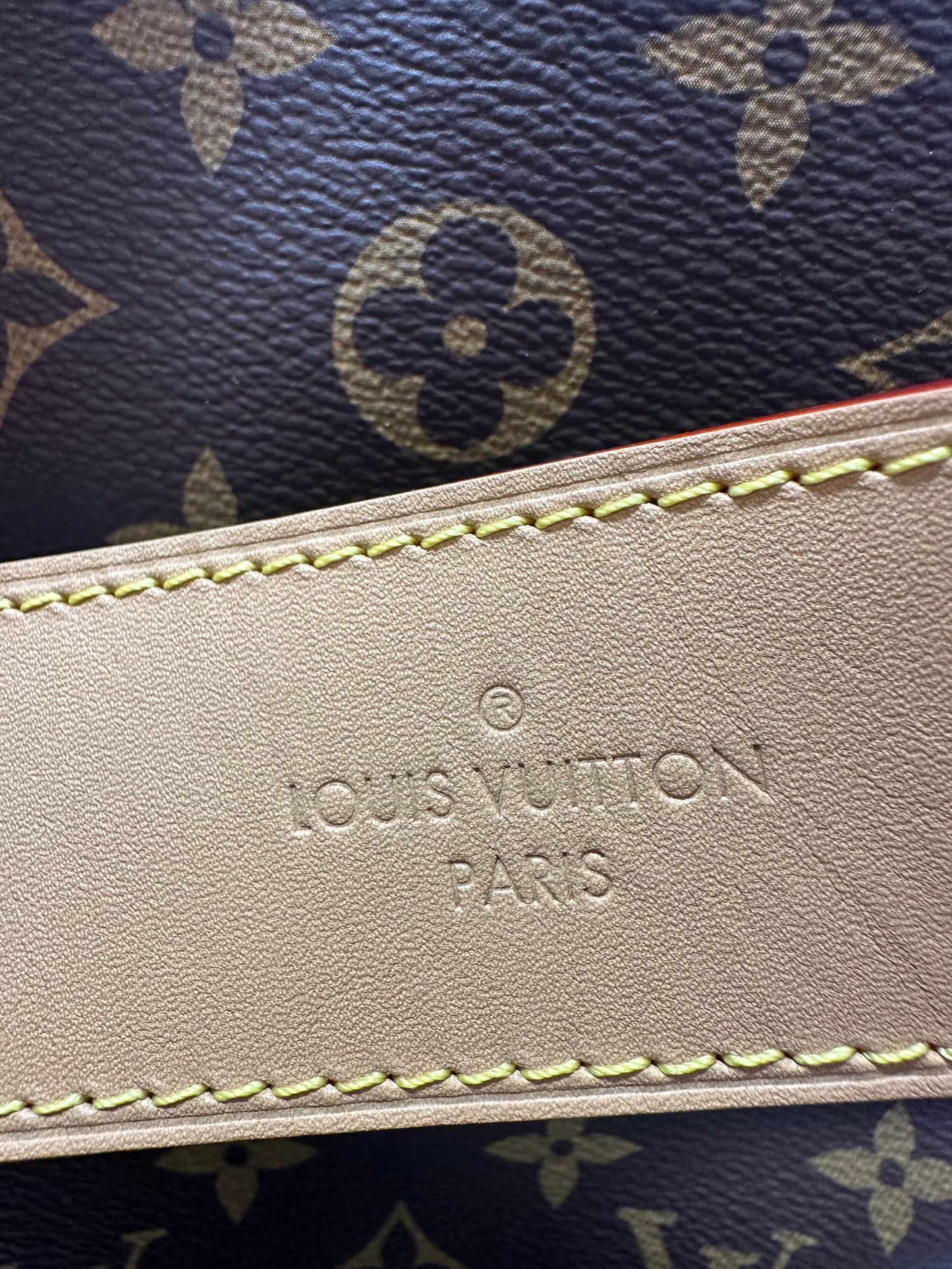 Louis Vuitton CarryAll MM