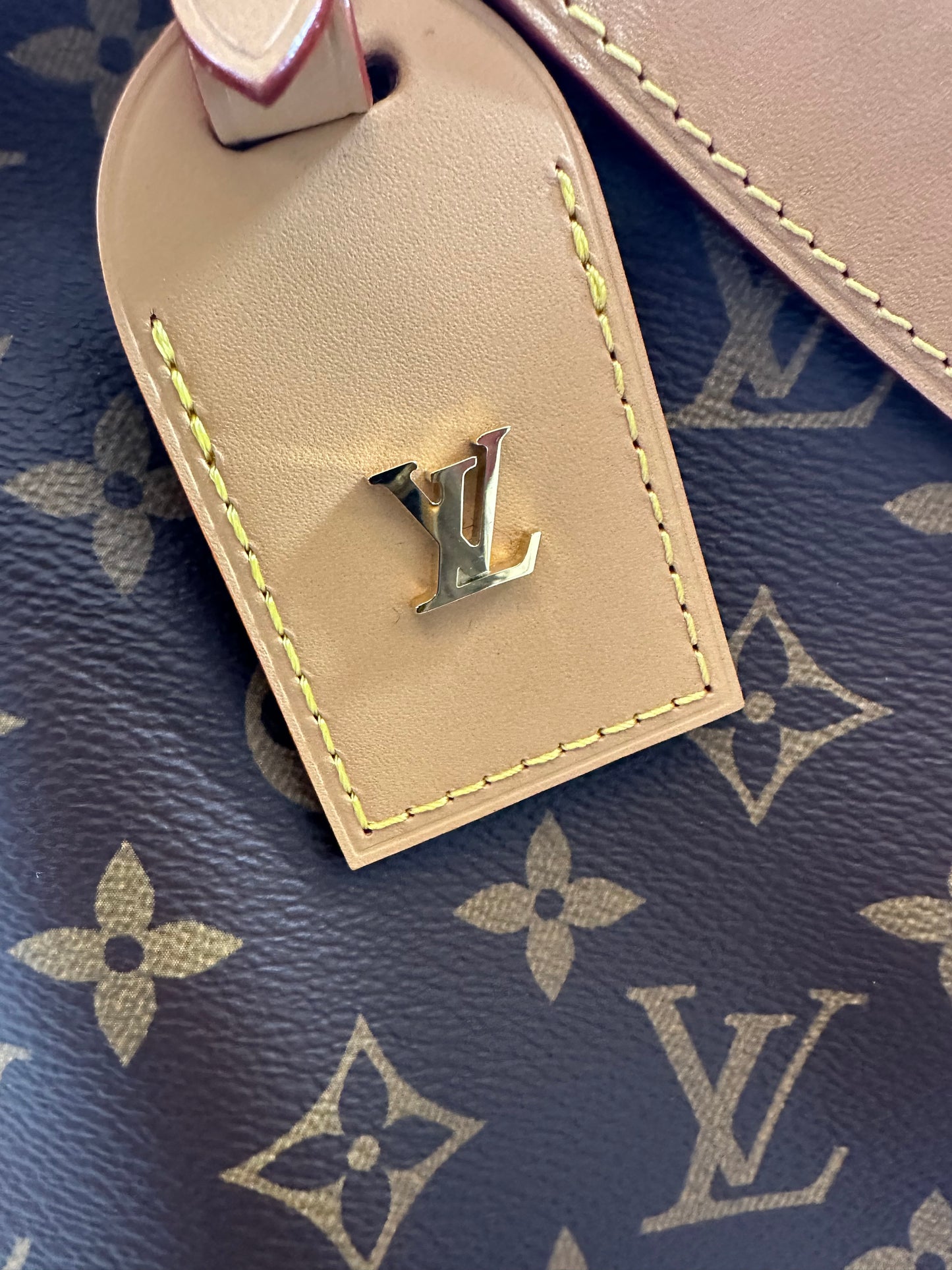 Louis Vuitton CarryAll MM