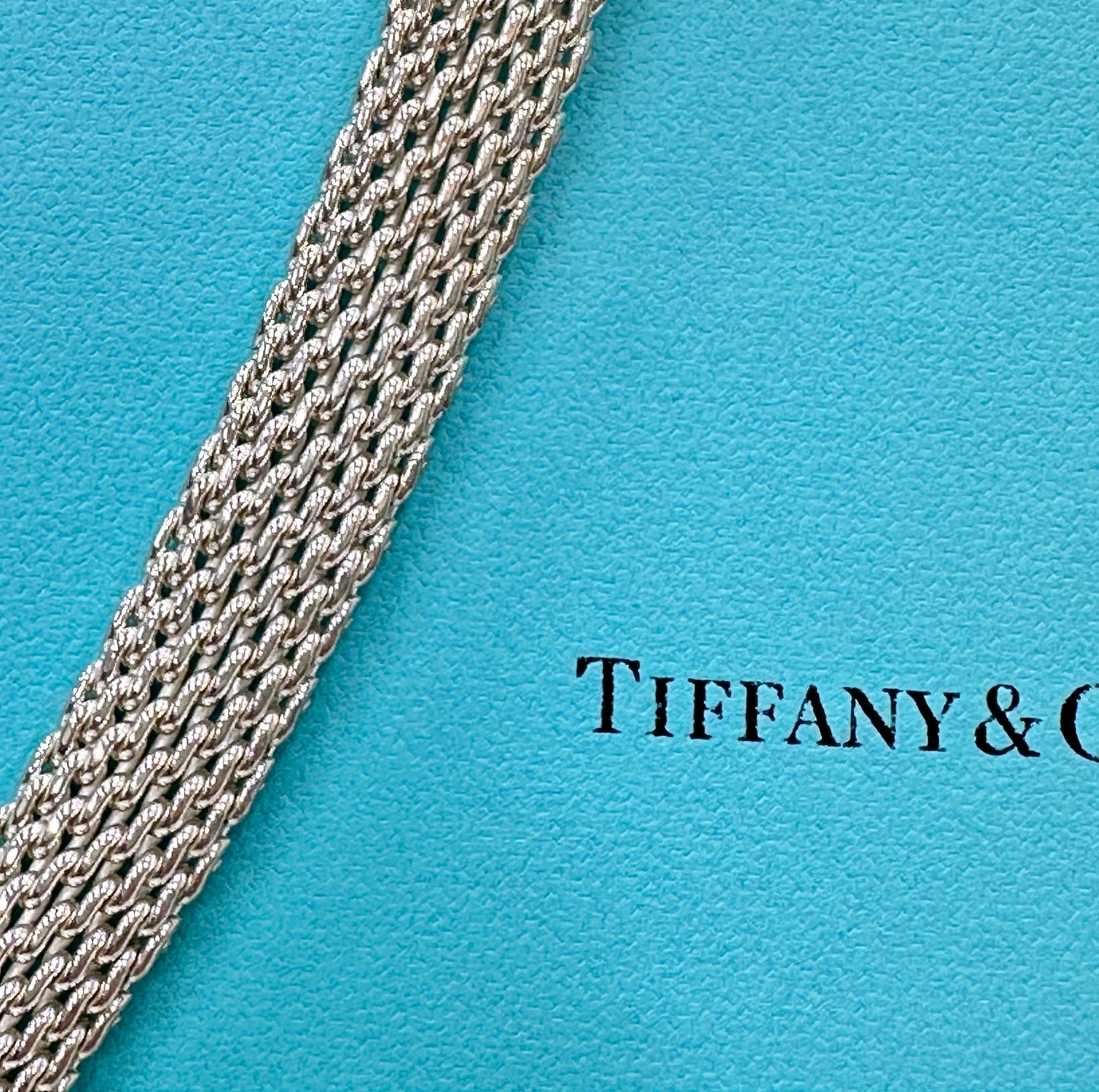 TIFFANY & CO. Somerset Mesh Necklace